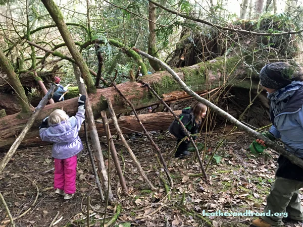 A fallen cedar provided the perfect ridge pole to build a Lean-to upon!