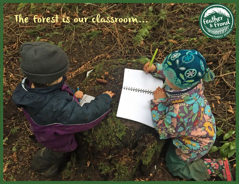 The Forest is Our Classroom, the Earth is our School...