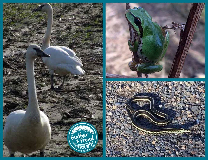 Some local residents... Have you seen any of these creatures?