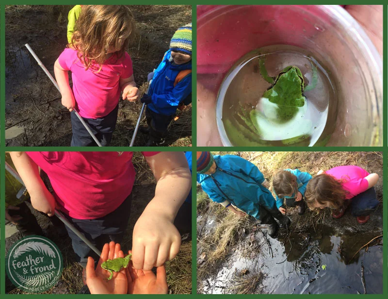 Catching frogs! (Catch and release, of course). Such a classic spring activity and a great motivator to get outdoors.