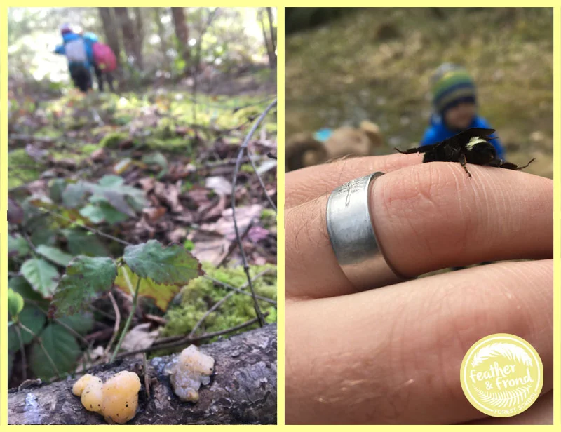 Such rich textures - from slimy fungi to soft bumblebees