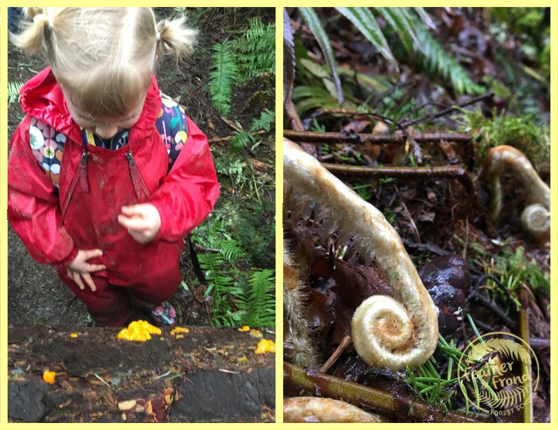 Witch's Butter and Fiddleheads