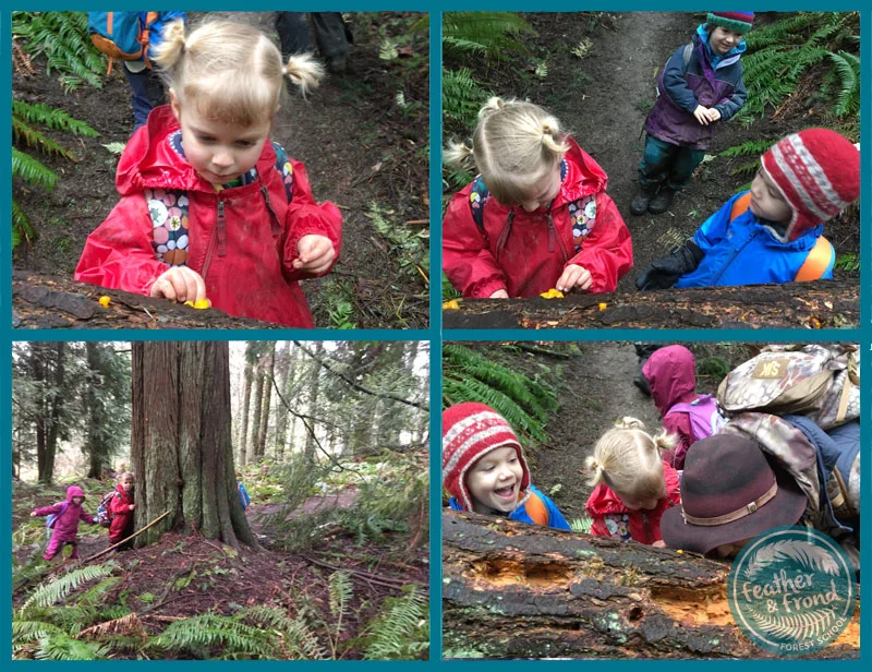 Have you ever touched slimy witch's butter with your nose??? We have! We love the sensory nature of exploring a spring forest, bursting with life! 