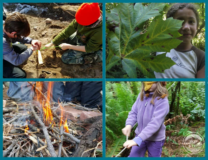 Fun, Fire, and Freedom with Fantastic Forest Friends