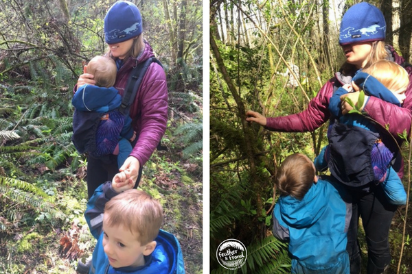 Momma raccoon explores a small mossy-covered tree with her hands