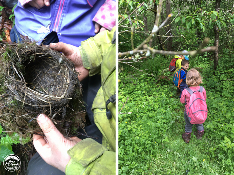 Examining a vacant Robin's nest and a deer trail!
