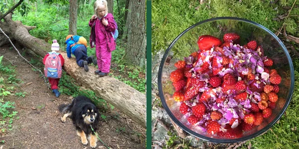 All sorts of Wild and Wooly creatures in the forest and a yummy fruit salad - farm fresh strawberries, wild salmonberries and candied wild Roses -- YUM!