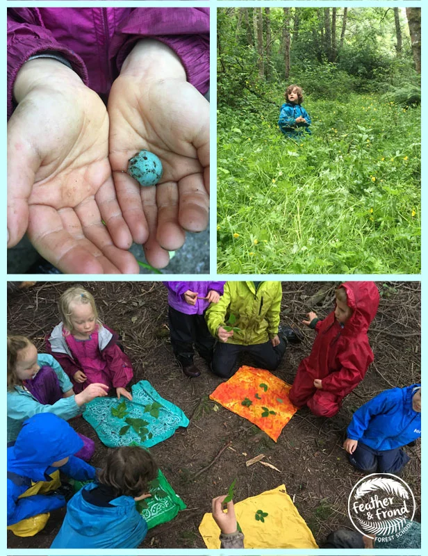 A found treasure, a lush sit spot and a round of "Plant Concentration"