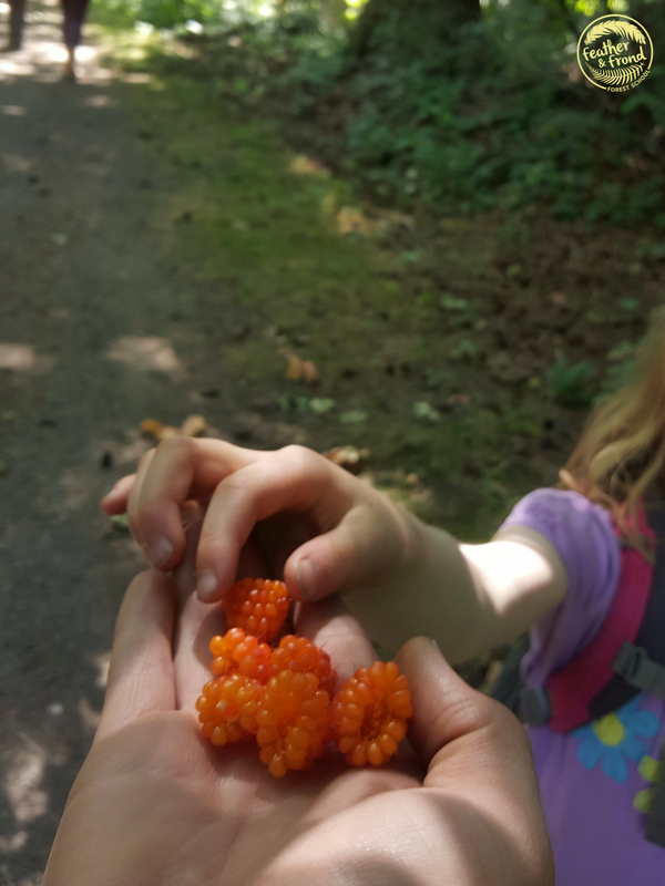 There's something really special about foraging wild berries with friends.