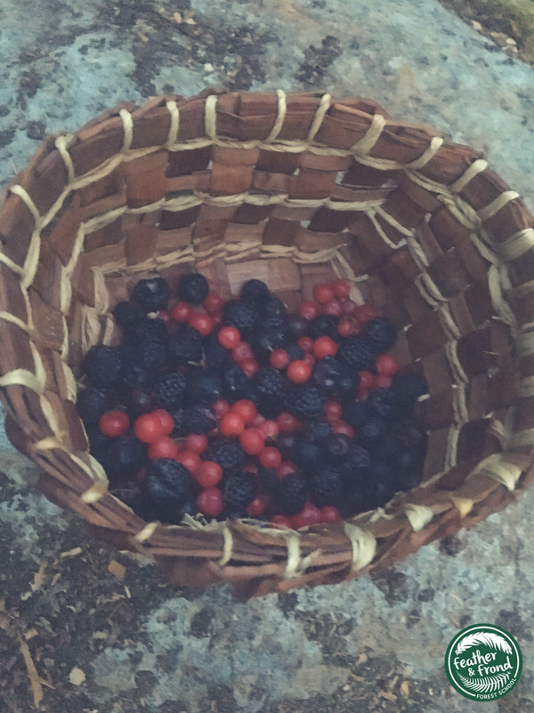 Basket fulL of WIld Tasty Goodness... Summer in tHE PNW is magic!