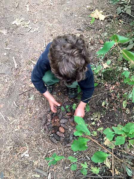 Making squirrel pizza!