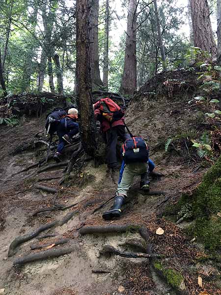 Scrambling up a steep hillside