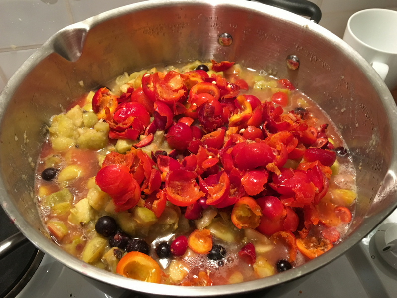 Cooking up the Fruit to make Jelly