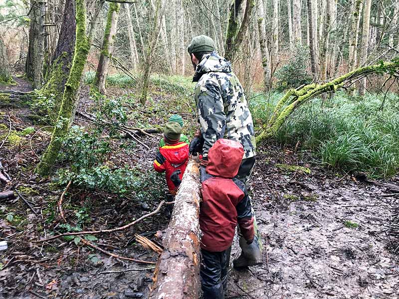 Remodeling our primitive shelter