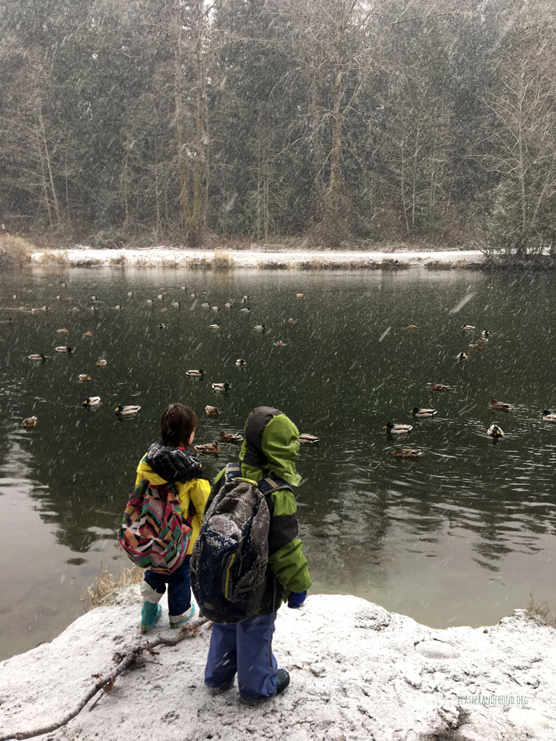 FoxWalkers-Week1819-Whatcom12.jpg