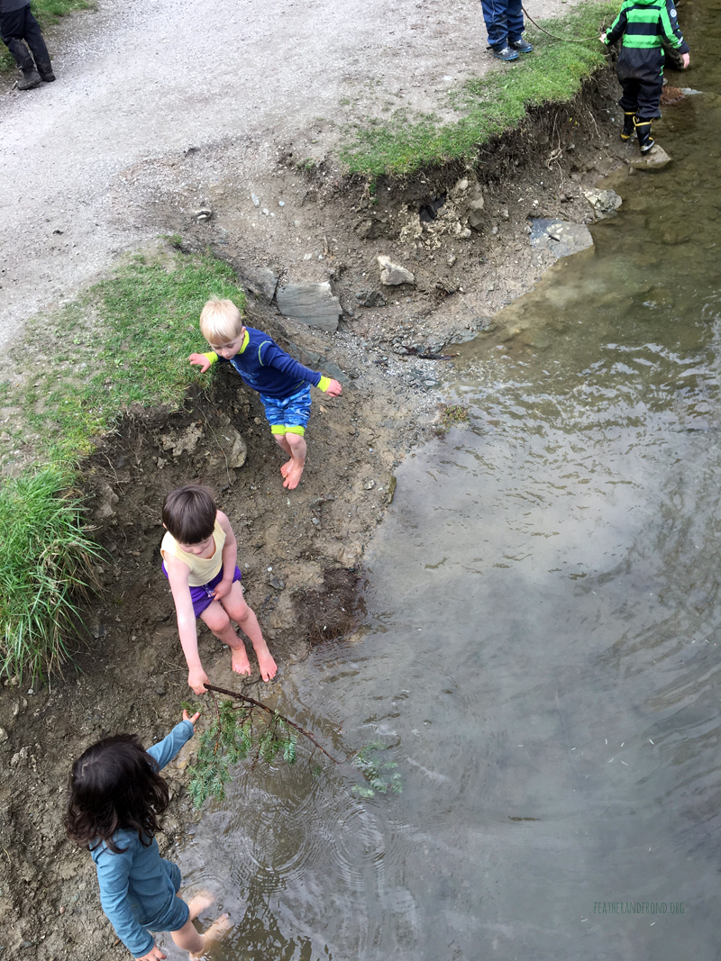 FoxWalkers-Week26-Whatcom12.jpg