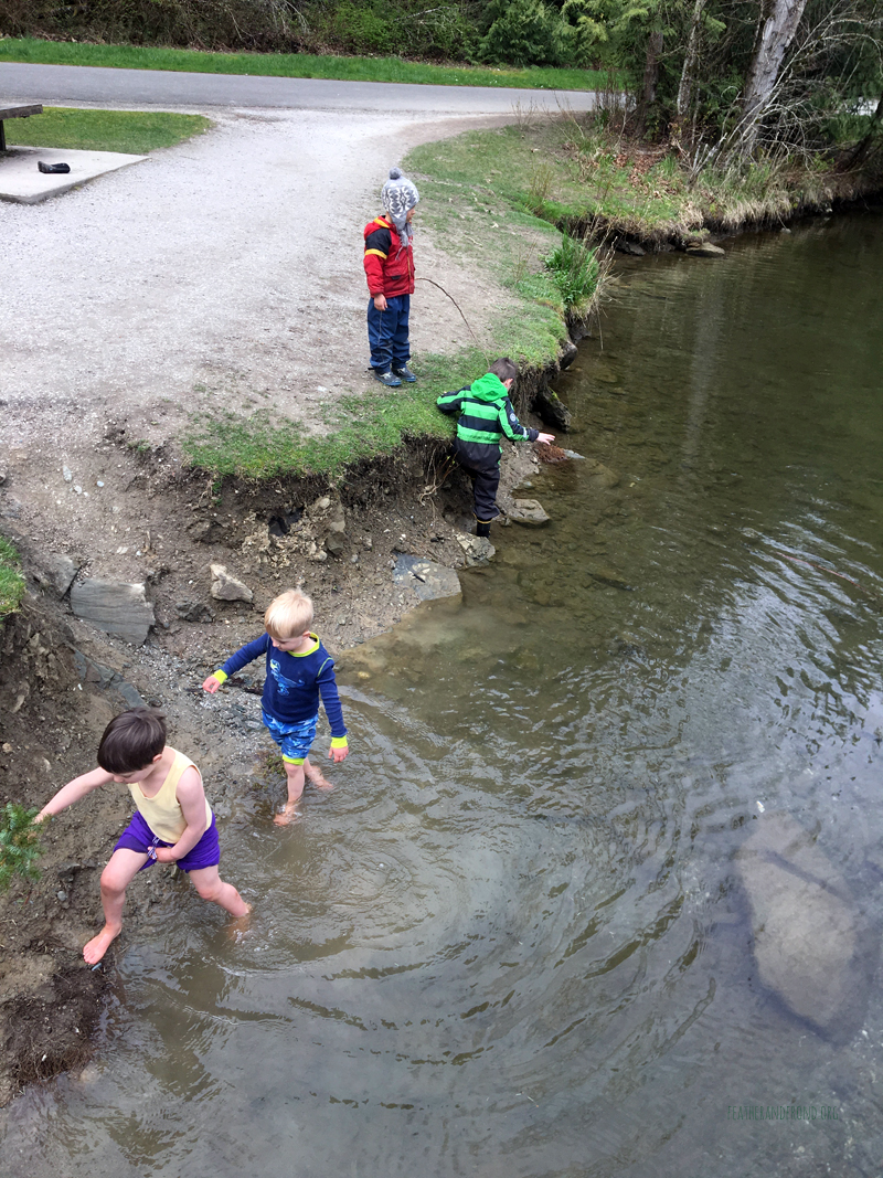 FoxWalkers-Week26-Whatcom11.jpg