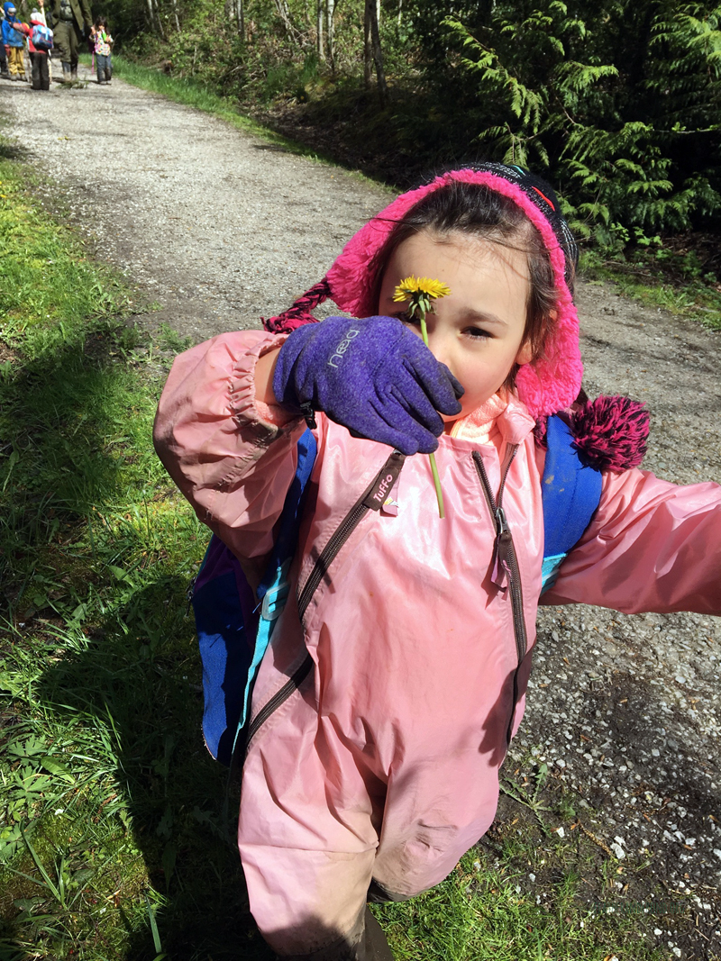 FoxWalkers-Week26-Fairhaven29.jpg