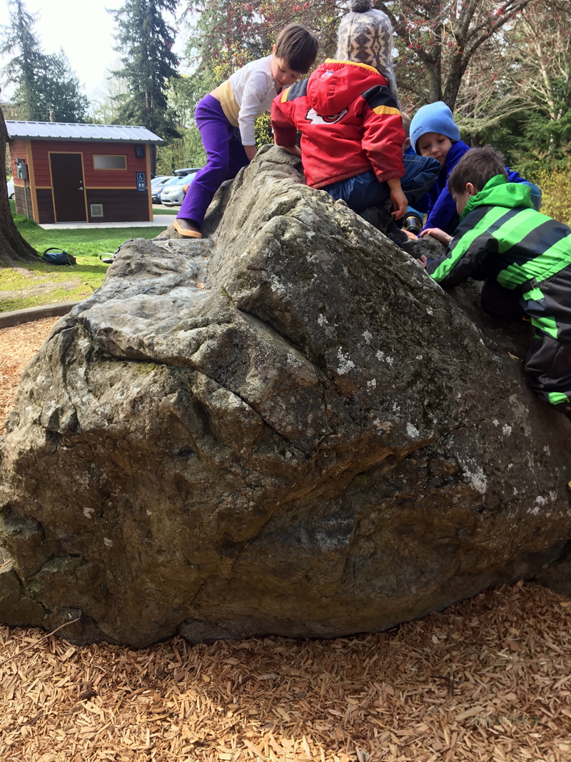 FoxWalkers-Week26-Whatcom04.jpg