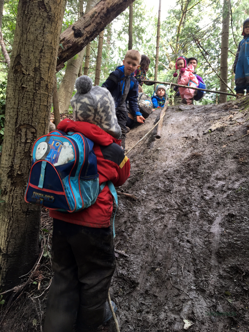 FoxWalkers-Week26-Fairhaven28.jpg