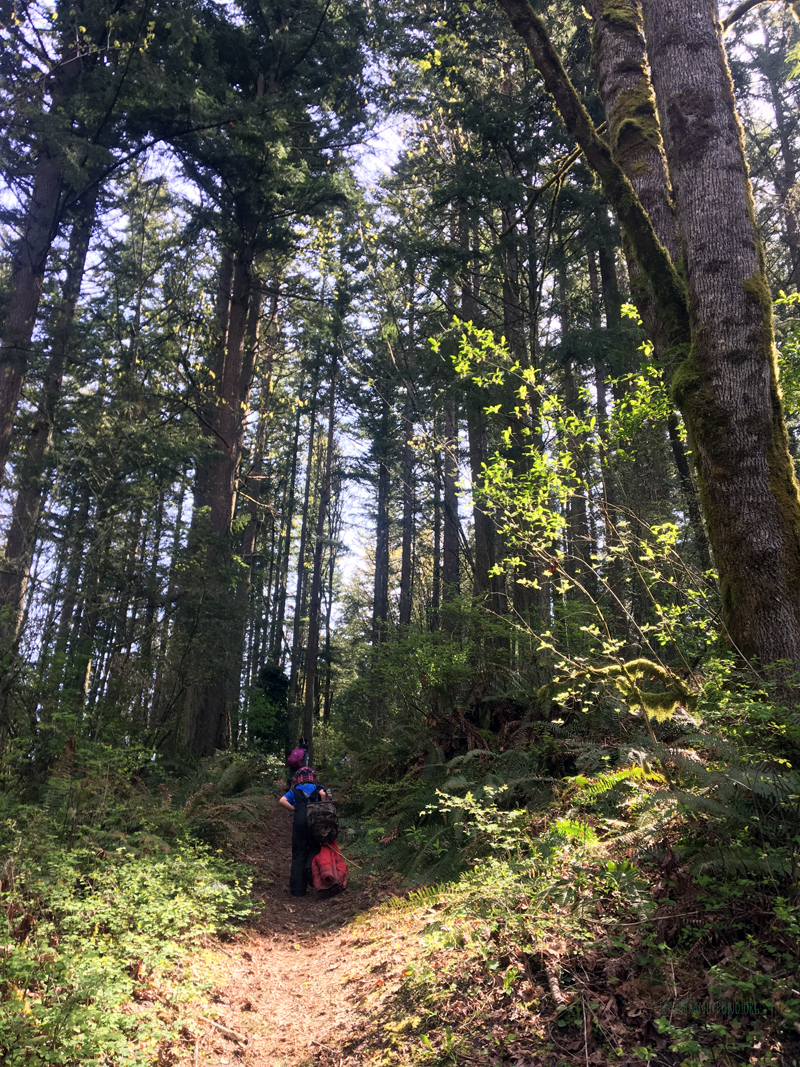 FoxWalkers-Week26-Fairhaven19.jpg