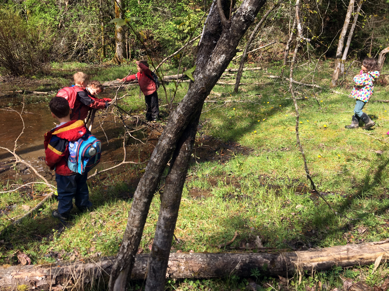 FoxWalkers-Week26-Fairhaven18.jpg