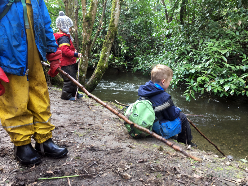 FoxWalkers-Week26-Fairhaven06.jpg