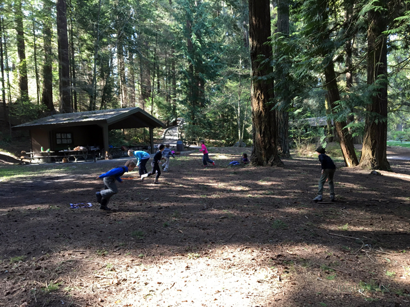 playing Jays and Chickadees