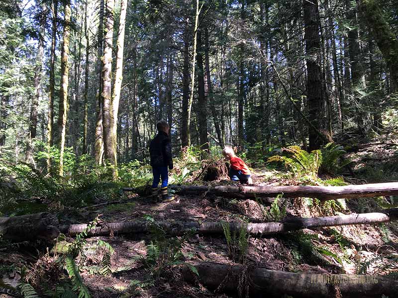 Looking for faerie houses. . .