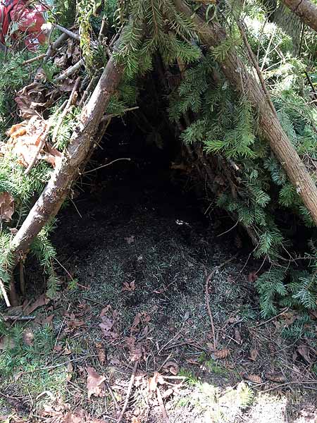 . . .and we found a cool debris shelter!