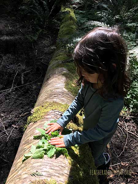 Making Waterleaf and Salmonberry flower burritos!