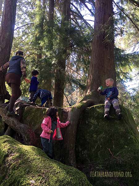 Adventures at Squirrel Rock