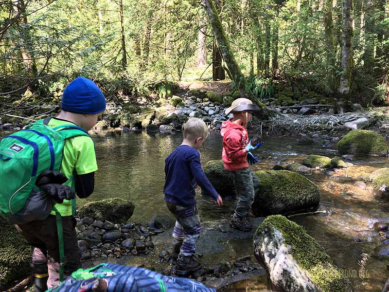 Working together to build a dam