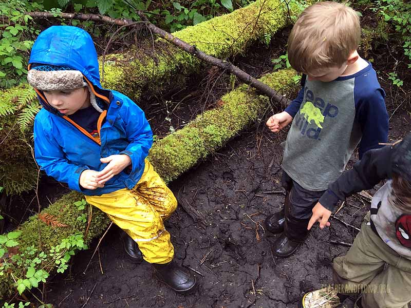 We stumbled upon a cool tracking spot, deep in Hundred Acre Wood
