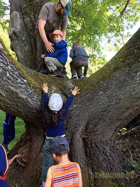 This ancient Oak at the entrance to Fairhaven Park is magical!