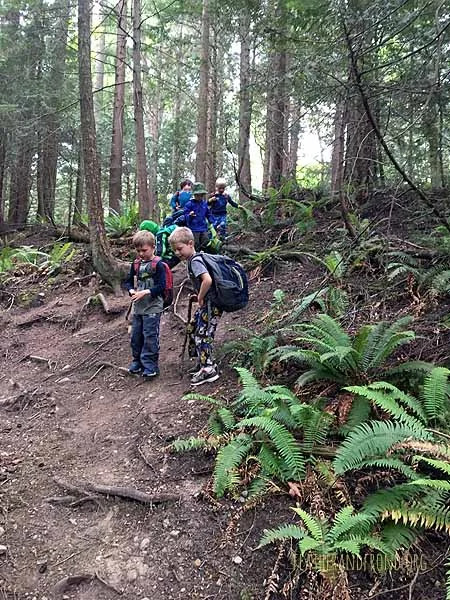 SOTD-FoxWalkers-Week30-31-Whatcom-13.jpg