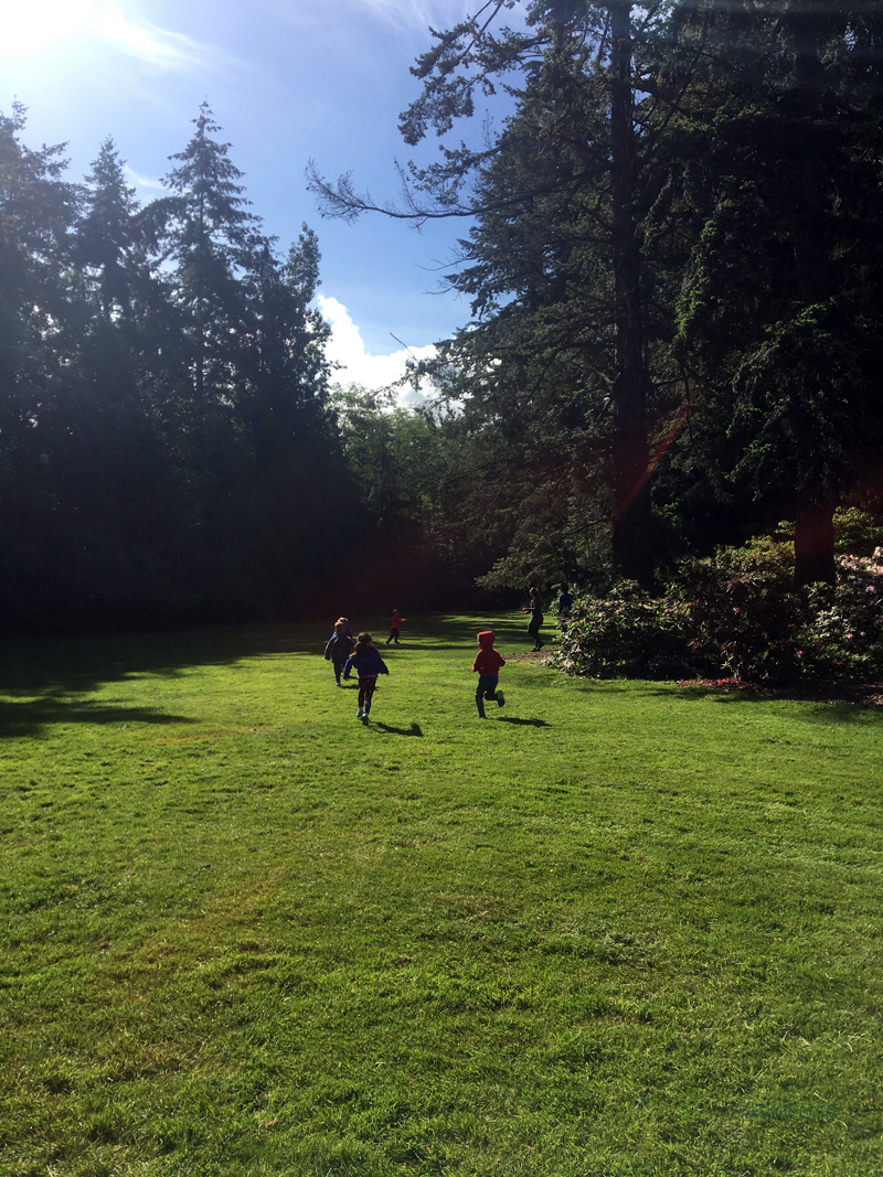 FoxWalkers-Fairhaven-Week32+33-06.jpg