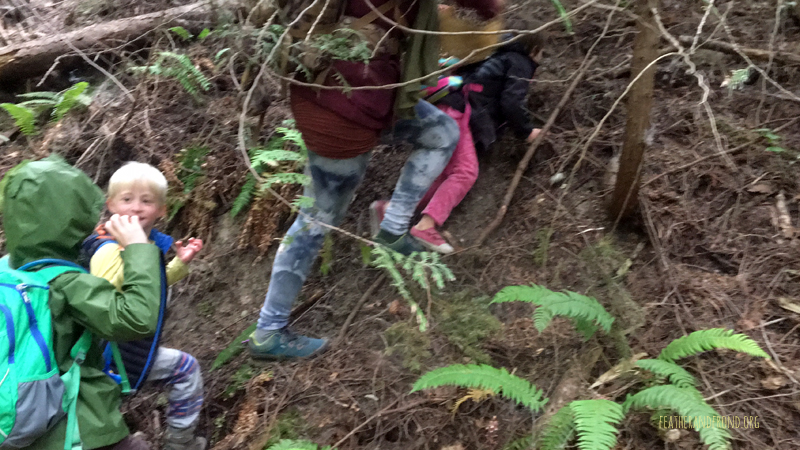 FoxWalkers-Whatcom-Week32+33-03.jpg