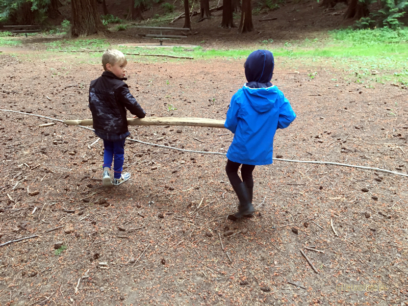 FoxWalkers-Whatcom-Week32+33-11.jpg