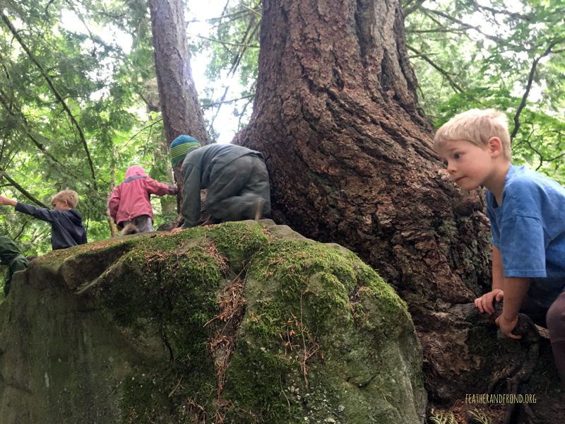 FoxWalkers-Whatcom-Week32+33-14.jpg