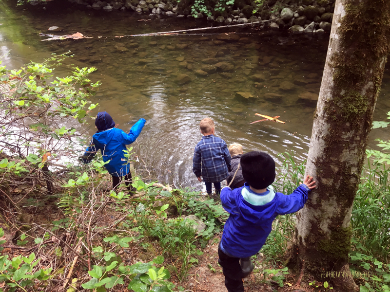 FoxWalkers-Whatcom-Week32+33-16.jpg
