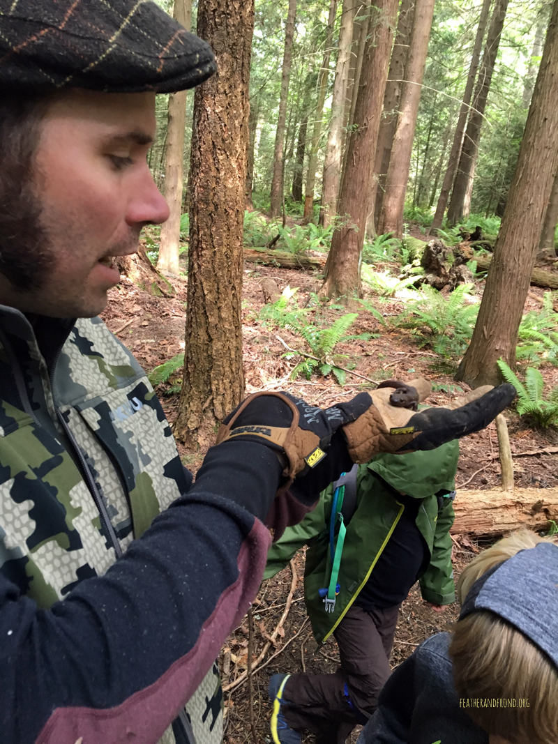FoxWalkers-Whatcom-Week32+33-27.jpg