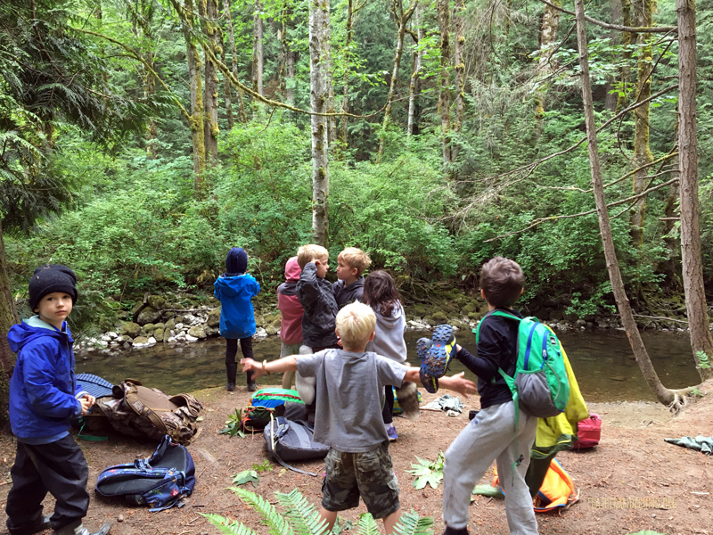 FoxWalkers-Whatcom-Week32+33-35.jpg