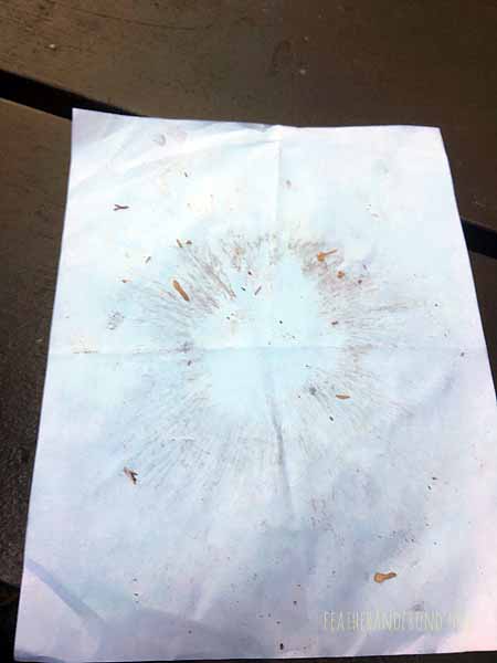 Spore prints are very useful for mushroom ID