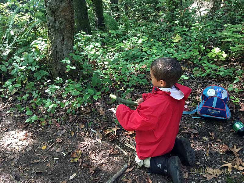 Whittling instruments
