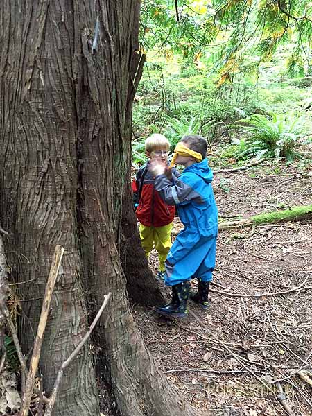 Playing Meet-a-Tree.