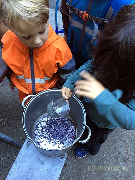 Finally making our Elderberry Syrup!