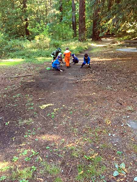 FoxWalkers-SOTD-Week3-Whatcom-14.jpg