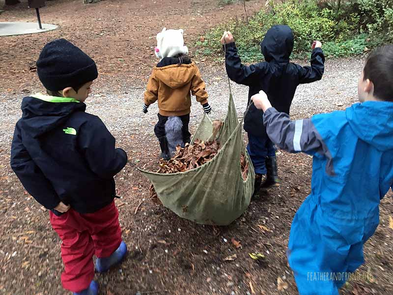 Hauling Big Leaf Maple leaves