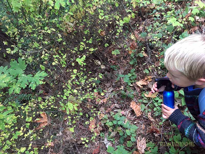 Using our Magic Spider Spray to reveal webs